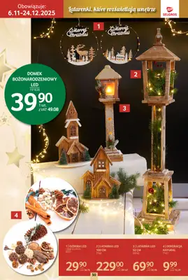 Selgros - gazetka promocyjna Katalog Boże Narodzenie od czwartku 06.11 do środy 19.11 - strona 50