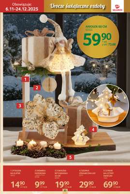 Selgros - gazetka promocyjna Katalog Boże Narodzenie od czwartku 06.11 do środy 19.11 - strona 53