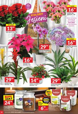 Twój Market - gazetka promocyjna Gazetka od środy 05.11 do poniedziałku 10.11 - strona 22