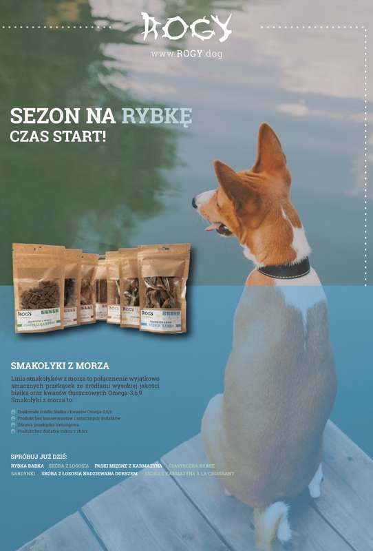 Aquael zoo - gazetka promocyjna Gazetka od poniedziałku 03.11 do niedzieli 30.11 - strona 13