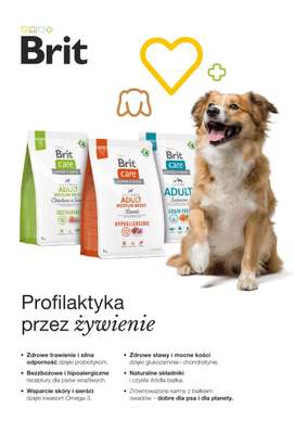 Aquael zoo - gazetka promocyjna Gazetka od poniedziałku 03.11 do niedzieli 30.11 - strona 16