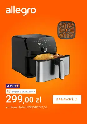 Allegro - gazetka promocyjna Zadbaj o czystość powietrza w domu od wtorku 04.11 do poniedziałku 10.11 - strona 4