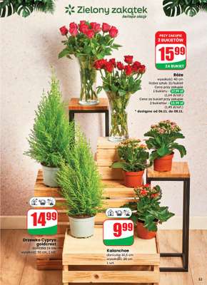 Dino - gazetka promocyjna Gazetka od środy 05.11 do poniedziałku 10.11 - strona 53