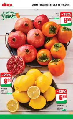 Dino - gazetka promocyjna Najlepsze promocje! od środy 05.11 do poniedziałku 10.11 - strona 2