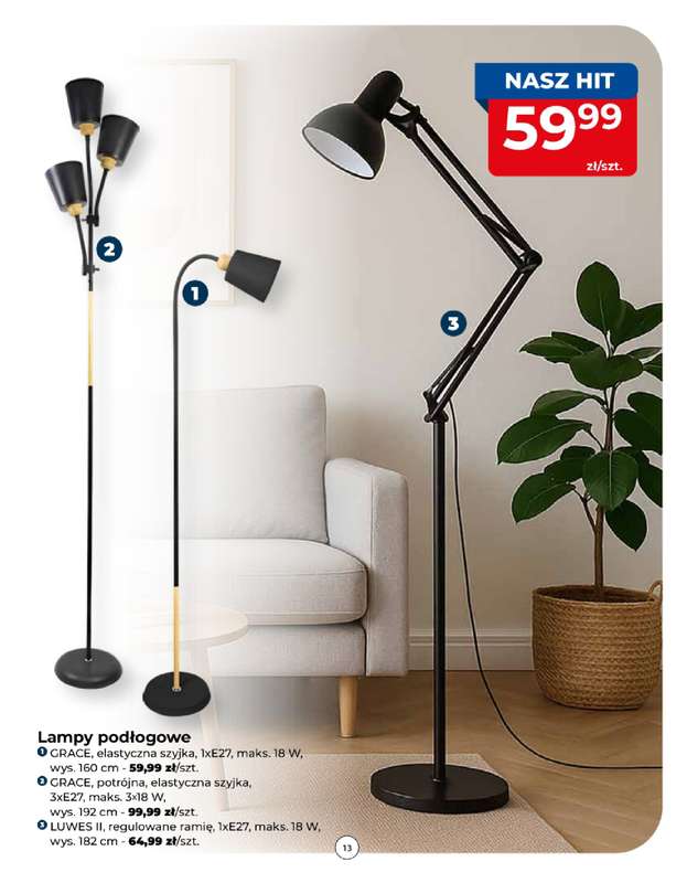 PSB Mrówka - gazetka promocyjna Gazetka od czwartku 06.11 do soboty 15.11 - strona 13