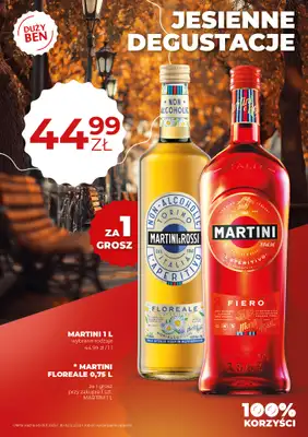 Duży Ben - gazetka promocyjna Gazetka alkoholowa od środy 05.11 do wtorku 02.12 - strona 9