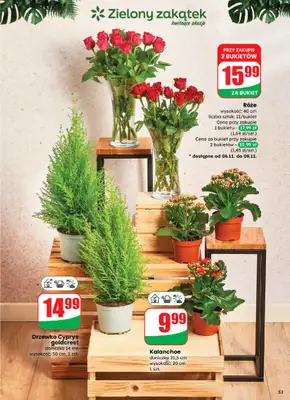 Dino - gazetka promocyjna Gazetka od środy 05.11 do poniedziałku 10.11 - strona 53