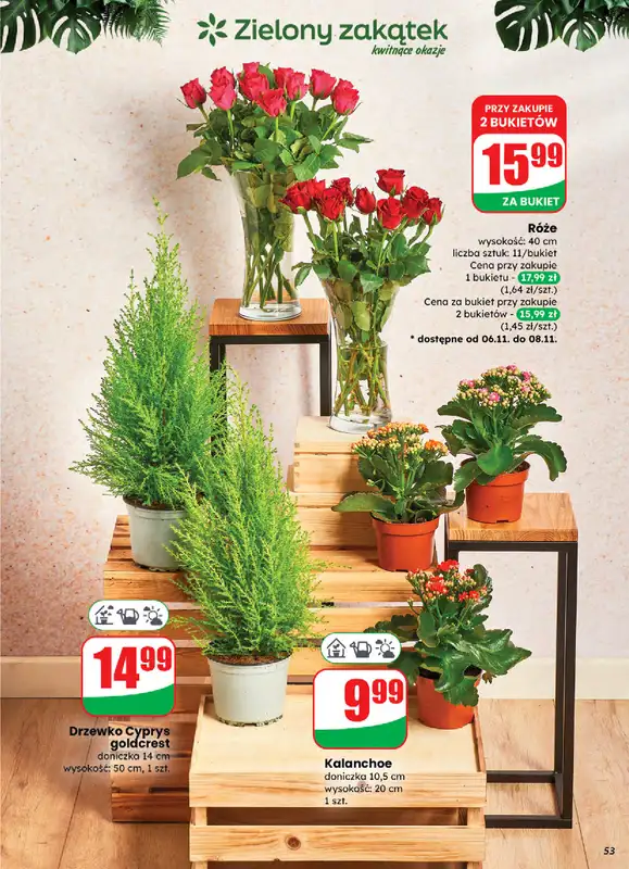 Dino - gazetka promocyjna Gazetka od środy 05.11 do poniedziałku 10.11 - strona 53