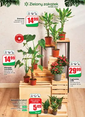 Dino - gazetka promocyjna Gazetka od środy 05.11 do poniedziałku 10.11 - strona 54