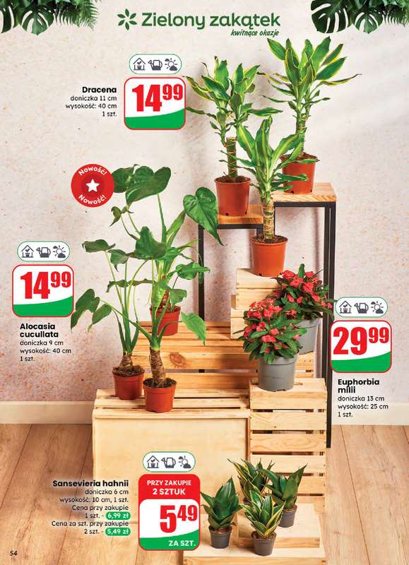 Dino - gazetka promocyjna Gazetka od środy 05.11 do poniedziałku 10.11 - strona 54