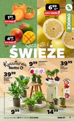 Netto - gazetka promocyjna Gazetka Spożywcza od poniedziałku 10.11 do soboty 15.11 - strona 7