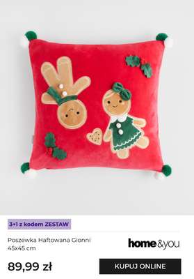 Poszewka Haftowana Gionni 45x45 cm