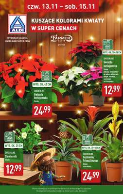 Aldi - gazetka promocyjna Kwiaty w super cenach! od czwartku 13.11 do soboty 15.11