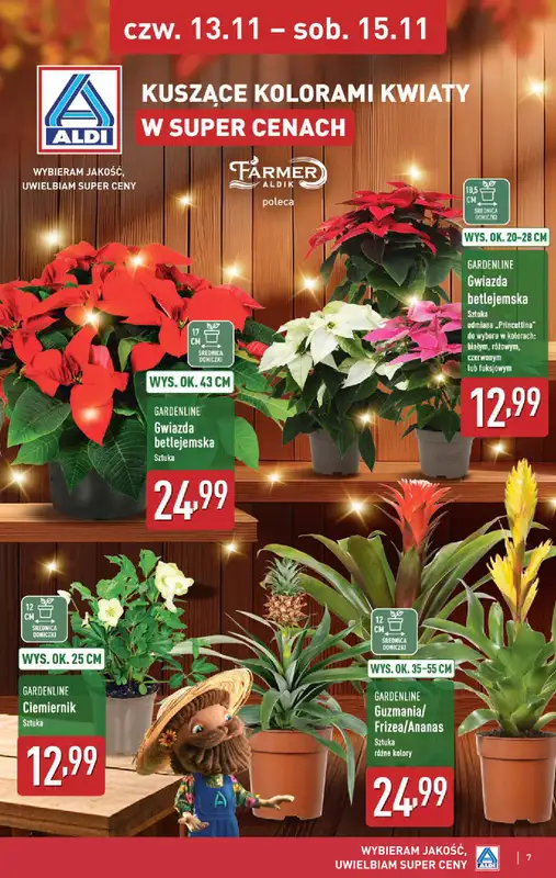 Aldi - gazetka promocyjna Weekend super cen w Aldi! od czwartku 13.11 do soboty 15.11 - strona 7