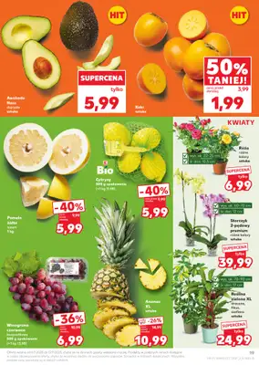 Kaufland - gazetka promocyjna Oferta Kaufland od czwartku 06.11 do środy 12.11 - strona 19