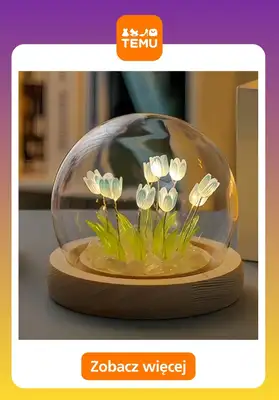 Temu - gazetka promocyjna Oświetlenie do domu od niedzieli 09.11  - strona 12