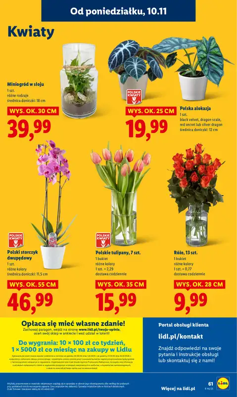 Lidl - gazetka promocyjna Oferta od poniedziałku od poniedziałku 10.11 do środy 12.11 - strona 63