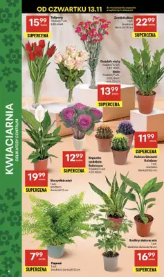 Delikatesy Centrum - gazetka promocyjna Gazetka  do środy 19.11 - strona 6