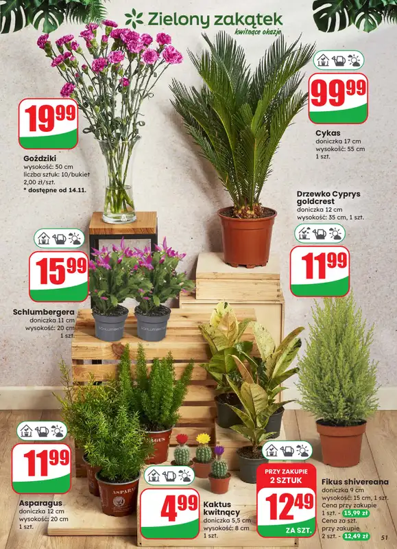 Dino - gazetka promocyjna Gazetka od środy 12.11 do wtorku 18.11 - strona 51