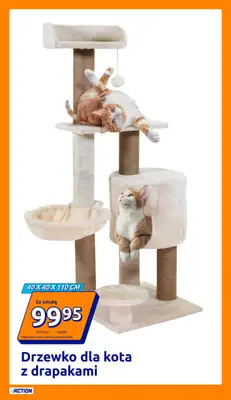 Action - gazetka promocyjna Gazetka od środy 12.11 do wtorku 18.11 - strona 13