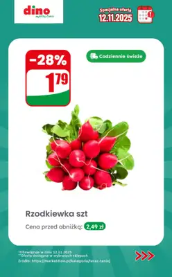 Dino - gazetka promocyjna Specjalna oferta na 12.11.2025 - promocje spoza gazetki od środy 12.11 do środy 12.11 - strona 4