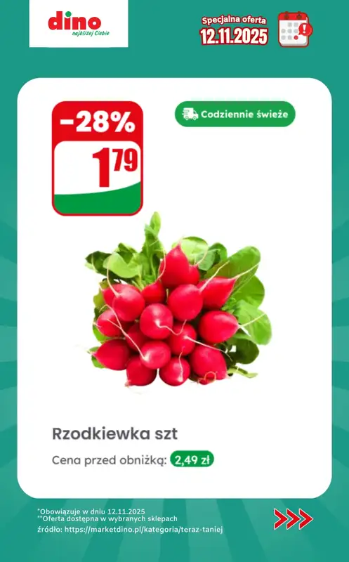 Dino - gazetka promocyjna Specjalna oferta na 12.11.2025 - promocje spoza gazetki od środy 12.11 do środy 12.11 - strona 4