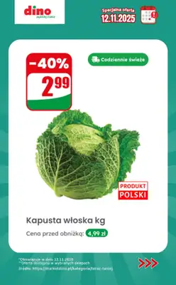 Dino - gazetka promocyjna Specjalna oferta na 12.11.2025 - promocje spoza gazetki od środy 12.11 do środy 12.11 - strona 3