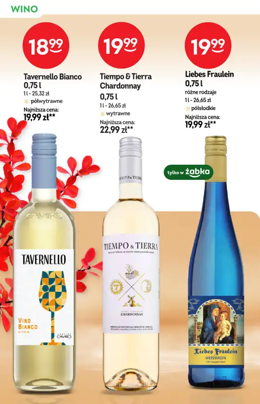Żabka - gazetka promocyjna Katalog Win od środy 12.11 do wtorku 25.11 - strona 20