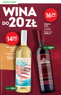 Żabka - gazetka promocyjna Katalog Win od środy 12.11 do wtorku 25.11 - strona 6