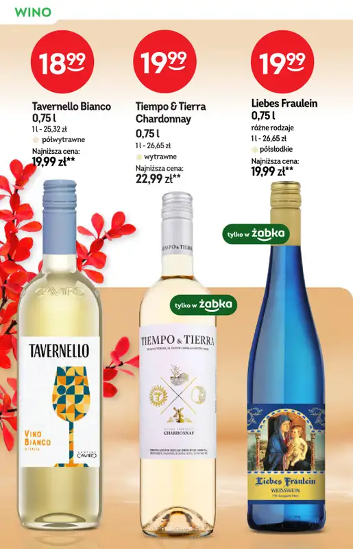 Żabka - gazetka promocyjna Katalog Win od środy 12.11 do wtorku 25.11 - strona 20