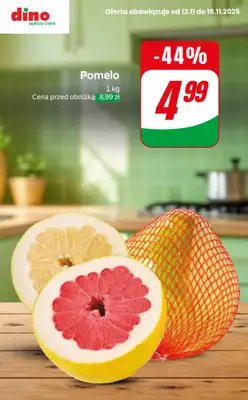 Dino - gazetka promocyjna Do -50% taniej od czwartku 13.11 do wtorku 18.11 - strona 9