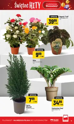 POLOmarket - gazetka promocyjna Gazetka od środy 12.11 do wtorku 18.11 - strona 19