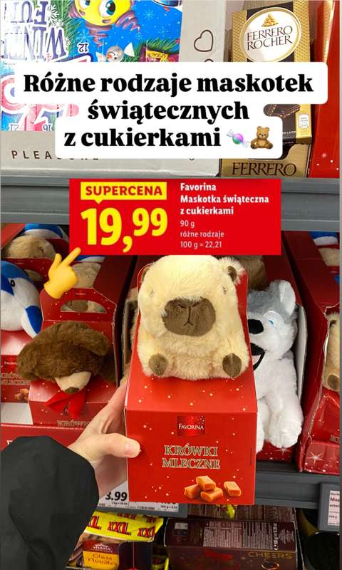 Lidl - gazetka promocyjna Zakupowe inspiracje - hity tygodnia od czwartku 13.11  - strona 10