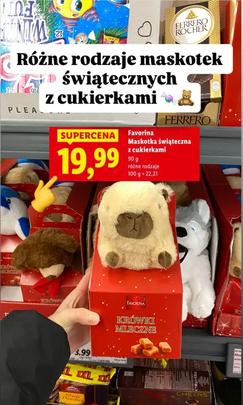 Lidl - gazetka promocyjna Zakupowe inspiracje - hity tygodnia od czwartku 13.11  - strona 10