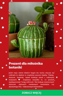 Prezenty - gazetka promocyjna Pakamera | Prezentownik od czwartku 13.11  - strona 6