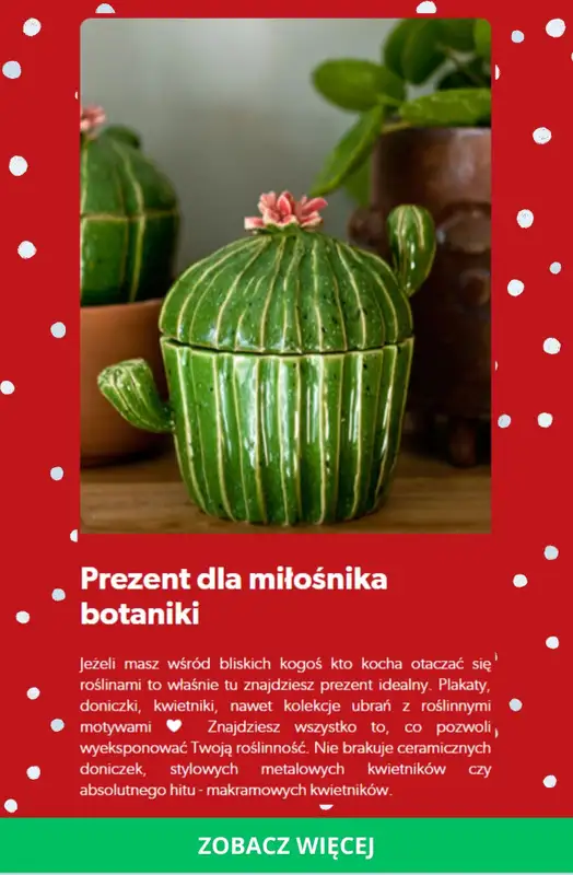 Prezenty - gazetka promocyjna Pakamera | Prezentownik od czwartku 13.11  - strona 6