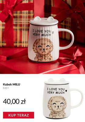 Homla - gazetka promocyjna Prezenty do 50 zł od czwartku 13.11  - strona 7