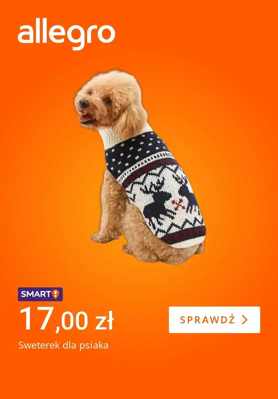 Allegro - gazetka promocyjna Zadbaj o pupila zimą od piątku 14.11 do czwartku 20.11