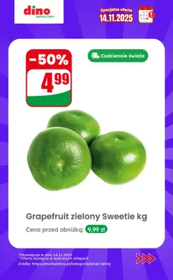 Dino - gazetka promocyjna Specjalna oferta na 14.11.2025 - promocje spoza gazetki od piątku 14.11 do piątku 14.11 - strona 7