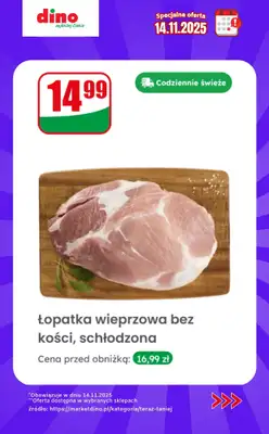 Dino - gazetka promocyjna Specjalna oferta na 14.11.2025 - promocje spoza gazetki od piątku 14.11 do piątku 14.11 - strona 9