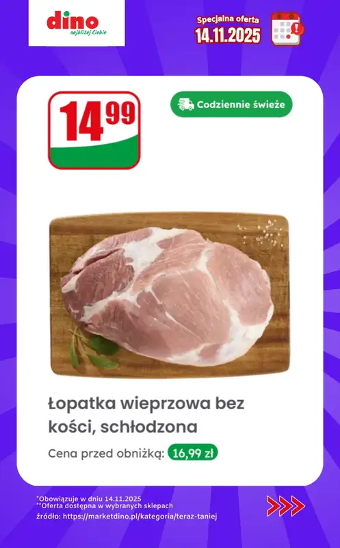 Dino - gazetka promocyjna Specjalna oferta na 14.11.2025 - promocje spoza gazetki od piątku 14.11 do piątku 14.11 - strona 9