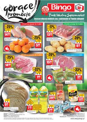 Bingo - gazetka promocyjna Gazetka od wtorku 18.11 do soboty 29.11