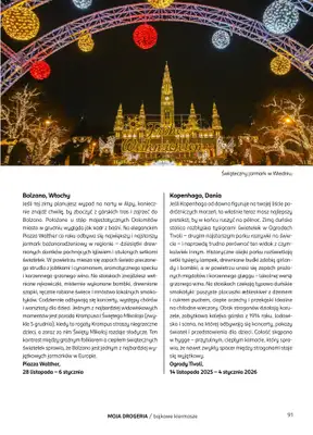 Rossmann - gazetka promocyjna Magazyn Moja Drogeria od soboty 15.11 do środy 31.12 - strona 93