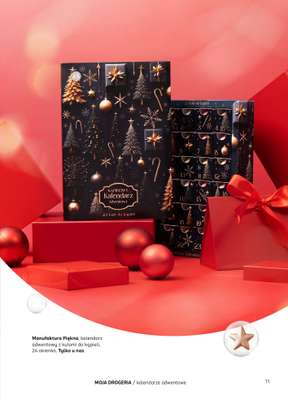 Rossmann - gazetka promocyjna Magazyn Moja Drogeria od soboty 15.11 do środy 31.12 - strona 13