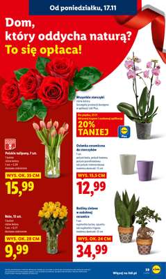 Lidl - gazetka promocyjna Oferta od poniedziałku od poniedziałku 17.11 do środy 19.11 - strona 59