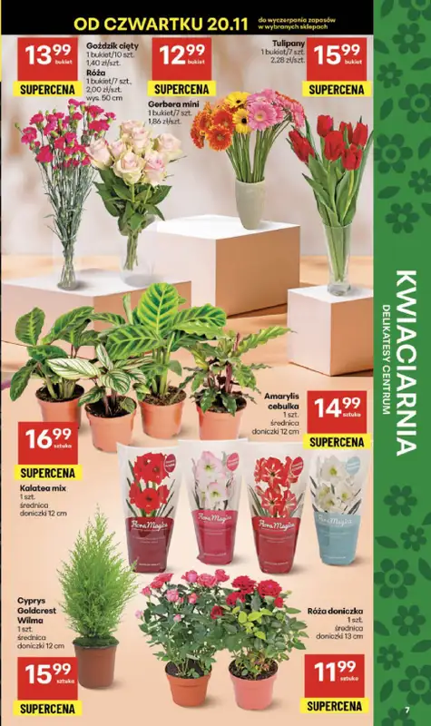 Delikatesy Centrum - gazetka promocyjna Gazetka  do środy 26.11 - strona 7