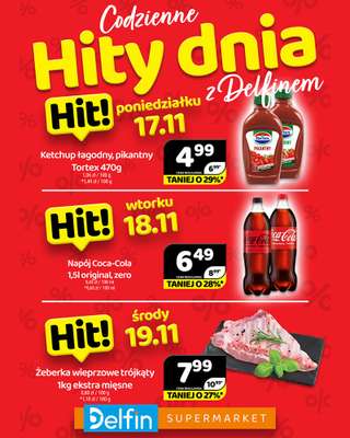 Delfin - gazetka promocyjna Codzienne hity dnia od poniedziałku 17.11 do środy 19.11
