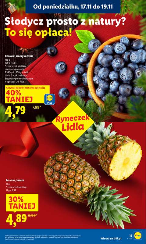 Lidl - gazetka promocyjna Oferta od poniedziałku od poniedziałku 17.11 do środy 19.11 - strona 17