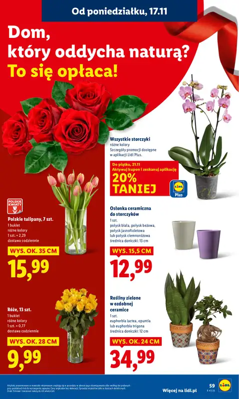 Lidl - gazetka promocyjna Oferta od poniedziałku od poniedziałku 17.11 do środy 19.11 - strona 61
