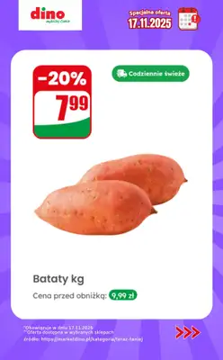 Dino - gazetka promocyjna Specjalna oferta na 17.11.2025 - promocje spoza gazetki od poniedziałku 17.11 do poniedziałku 17.11 - strona 3